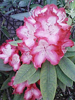 200804241440000.jpg