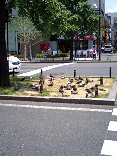080514_1136~0001.jpg