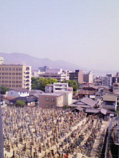 200805180859000.jpg
