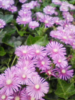 200805301303000.jpg