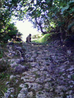 200807201545000.jpg