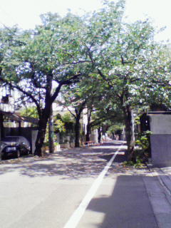 200807241328000.jpg