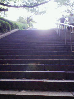 200808031733000.jpg