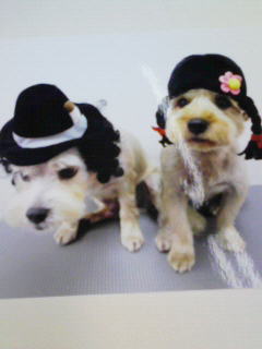 200808211608000.jpg