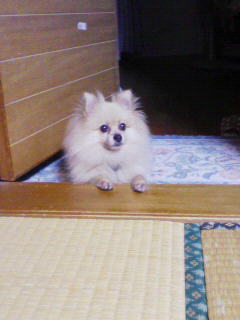 200808252117000.jpg