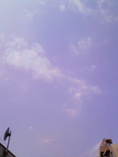 200809051215000.jpg