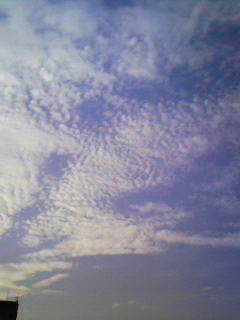 200809171653000.jpg