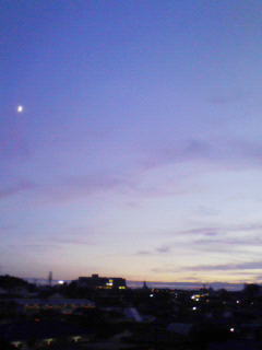 200810061736000.jpg