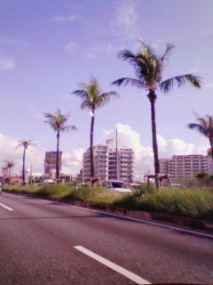 200810101532000.jpg