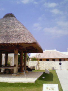 200810131159000.jpg