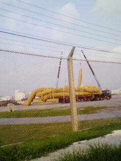 200810111656000.jpg