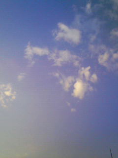200810211635000.jpg