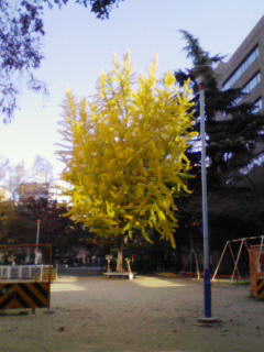 200812061300000.jpg
