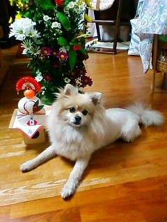 200901022001.jpg
