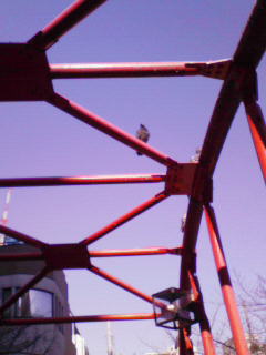 200901041211000.jpg