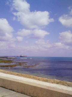 200901311415000.jpg