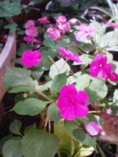 200902261041000.jpg