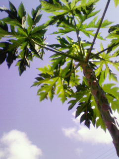 200902251436000.jpg