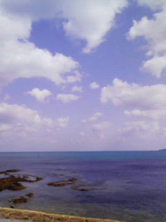 200901311410000.jpg