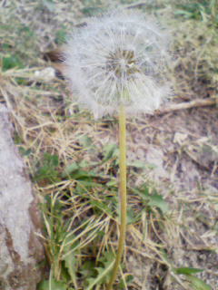 200902261517000.jpg