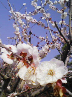 200903210941000.jpg