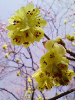 200903211026000.jpg