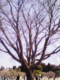 200903211011000.jpg