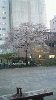 200903311808000.jpg