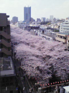 200904061402000.jpg