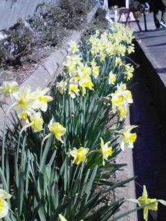 200903211402000.jpg