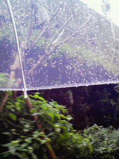 200905061236000.jpg
