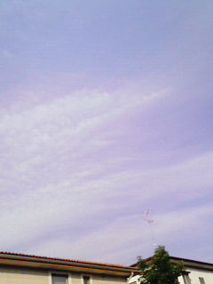 200905090625000.jpg