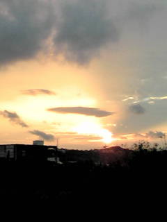 20090517185124.jpg