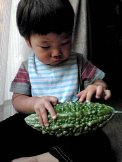 20090606082203.jpg