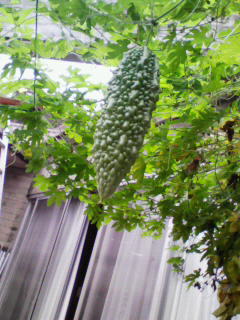 200906260722000.jpg
