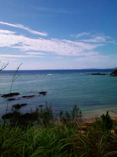 200906281610.jpg
