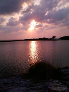 200906021837.jpg