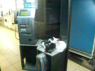 20090720235508.jpg