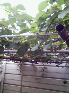 200907241210000.jpg