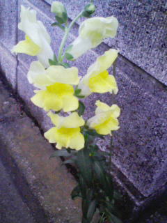 200907221838000.jpg