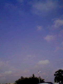 200909010811000.jpg