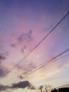 200909101805000.jpg