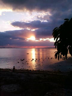 200912061712.jpg