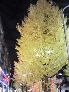 200912012051000.jpg