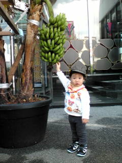 20091229110234.jpg