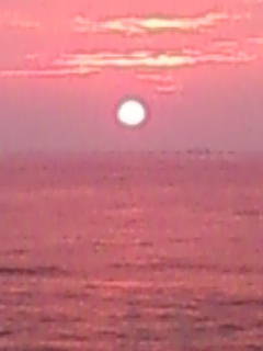 201001241759.jpg