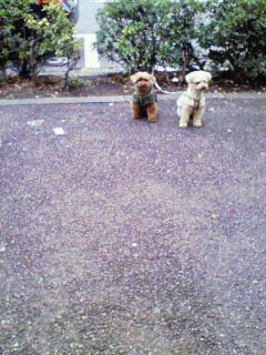 201002171706000.jpg