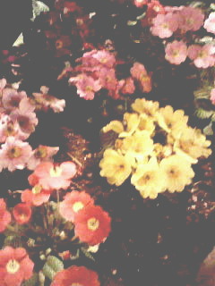 201002221829000.jpg