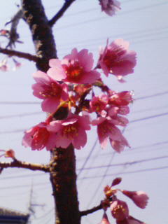 201003201222000.jpg