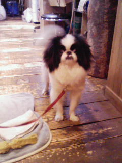 201003241532000.jpg